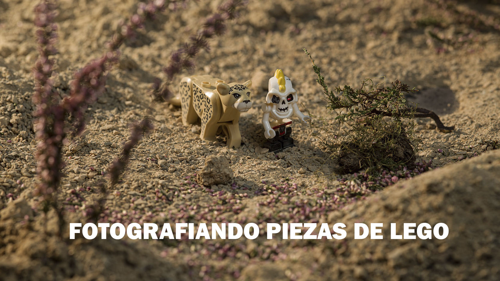 PROMO-PARA-USUARIOS-NO-LOGEADOS