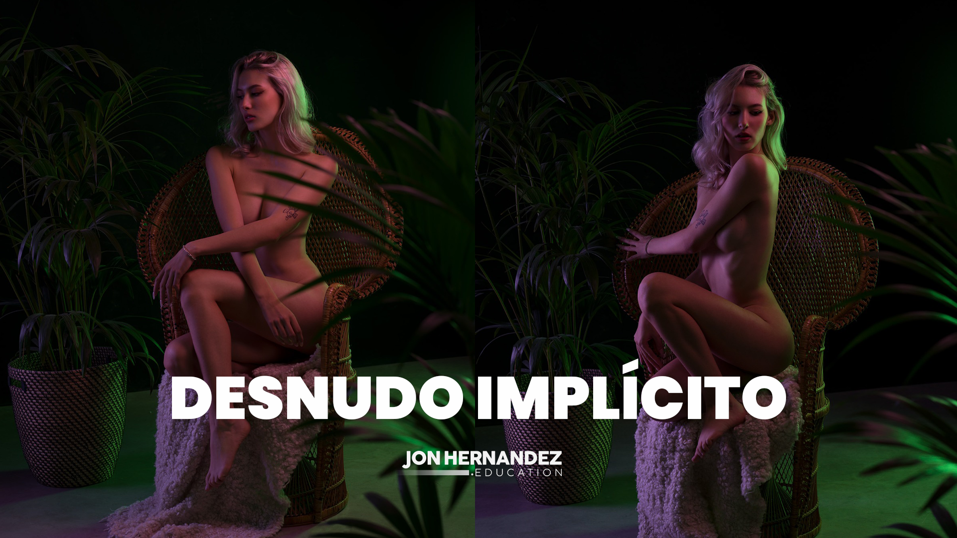 PROMO-PARA-USUARIOS-NO-LOGEADOS
